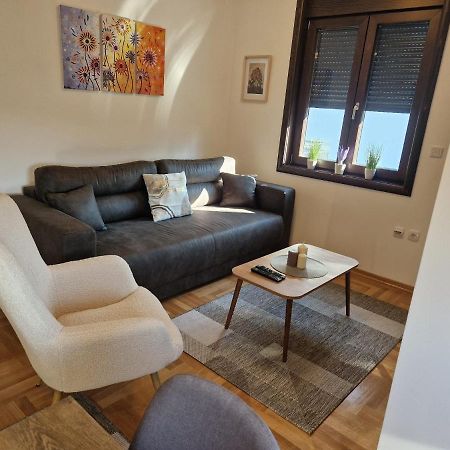 Mb Lux Lägenhet Vrnjačka Banja Exteriör bild